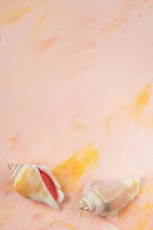 Sea shells on pink pastel background backround, copy space. Flat lay, top view, social media hero...