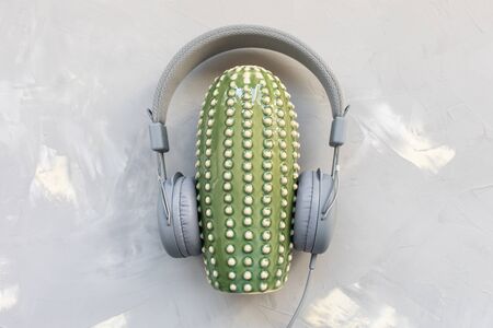 Headphones and ceramic cactus on gray background. Music and food podcast concept. Top view, flat lay, copy spaceの写真素材