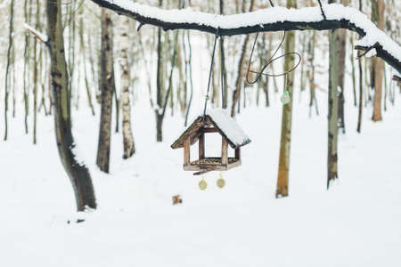 Birdhouse with fat balls and bird feeder in a winter park. Copy space. Feeding birds in winter...
