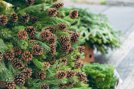 Simple Christmas decoration in a Christmas tree shop. Pine branches with natural pine cones in a...