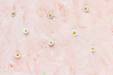 Fresh daisy flowers on pastel pink background. Spring concept. Minimalist flat lay, top view, copy...