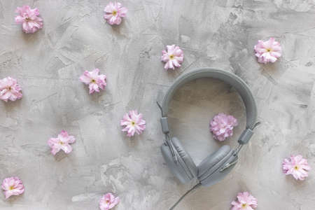 Headphones and sakura flowers on gray spring floral background. Music, podcast, e-learning concept. Top view, flat lay, copy spaceの写真素材