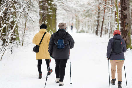 Winter sport nordic walking. Women in parkの写真素材
