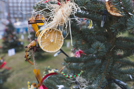 Natural decoration made of lemon slices and Christmas spices on a Christmas tree. Diy Christmas decoration. Environment, recycle, reuse and zero waste concept. Selective focusの写真素材
