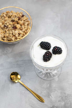 Dessert with yogurt, homemade granola and fresh blackberries, served in trendy patterned clear glass with golden spoon, gray bavkground. Healthy vegan breakfast or snack. Copy space, selective focusの写真素材