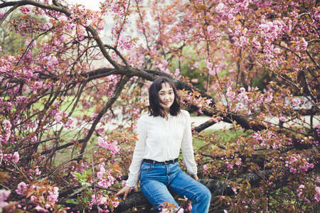 Young attractive Asian woman in a white shirt sitting under the blooming sakura tree in park, calm, smiling. Spring portrait, lifestyle concept, copy spaceの写真素材