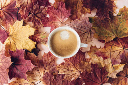 Cup of espresso with crema and and autumn red maple leaves on pink background. Fall season mood,...