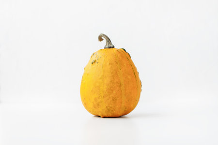 One small yellow decorative pumpkin on white background. Fall season, Halloween and Thanksgiven...