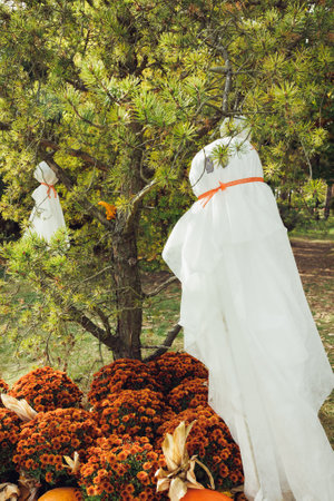 Fall flower decoration and Halloween DIY ghosts hanging on tree branches. Easy autumn DIY outdoor...