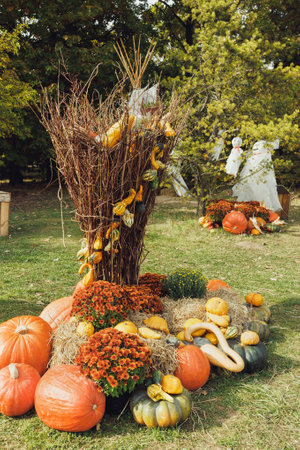 Pumpkins Halloween garden decor with autumn chrysanthemum flowers. Halloween and Thanksgiving...