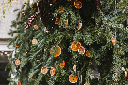 Natural decoration made of dry orange slices on Christmas tree. Diy Christmas food decoration....