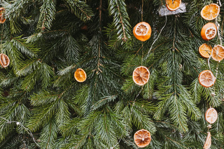 Natural decoration made of dry orange slices on Christmas tree. Diy Christmas food decoration. Environment, recycle, reuse and zero waste concept. Selective focusの写真素材