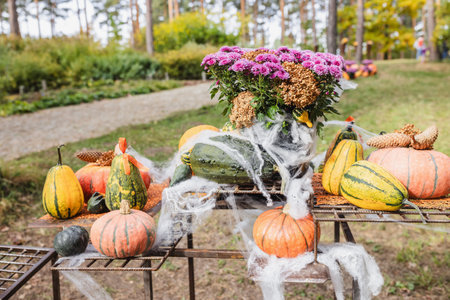 Autumn Harvest Display with Pumpkins and Flowers in a Forest Setting.の写真素材