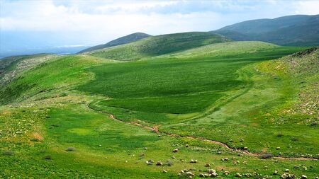 Very Beautiful Green Hills in Israel.