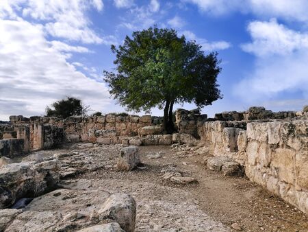 Ancient ruins in Adulam Nature Reserve since the Bar Kochba Revolt. Tree and ancient place.の写真素材