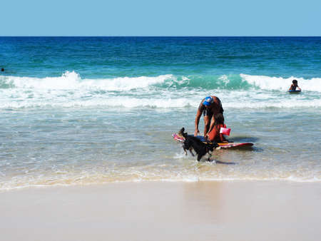 Dad with a child and a dog swim in the Mediterranean Sea in Israel. October 16, 2020.のeditorial素材