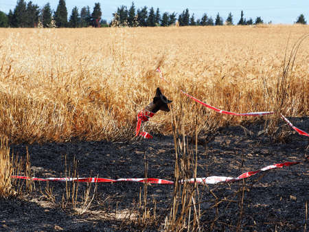 ISRAEL - MAY 17, 2021: a Hamas rocket fell in the fields of Israel near a peaceful settlement.のeditorial素材