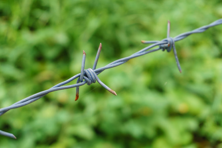 Barbed wire fence selective focusの写真素材