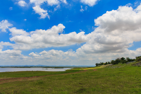 landscape blue sky and green fieldの写真素材