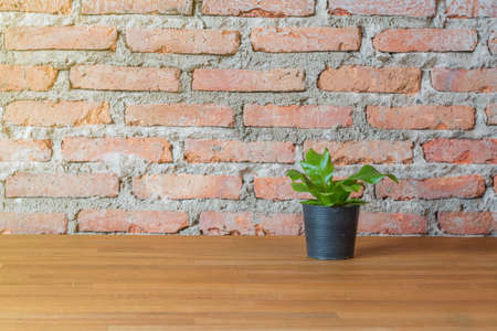 green plant in the flowerpot on wood table with brick backgroundの写真素材