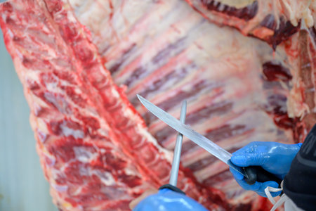Close-up of knives and knife sharpeners For slicing or trimming raw meat in slaughterhouses where butchering and trimming wagyu beef in the meat industry.の写真素材