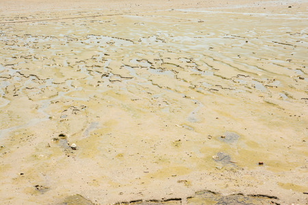 beach sand perspective coastline shore