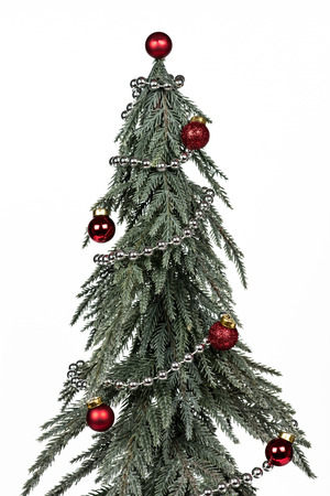 Beautiful christmas tree isolated on a white backgroundの写真素材