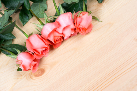 pink rose flower on wooden backgroundの写真素材