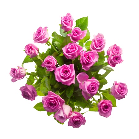 bouquet of purple rosesの写真素材