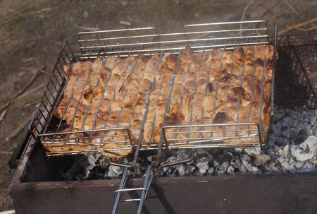 barbecue on natureの写真素材