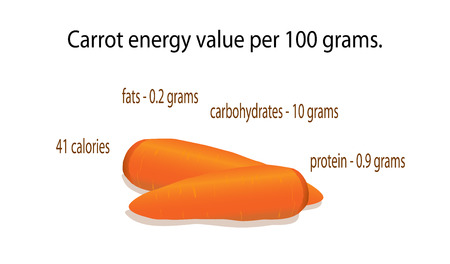 the energy value of the carrots. info graphics.のイラスト素材
