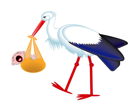 Cute stork delivering a crying newborn baby, isolated on a white background.のイラスト素材