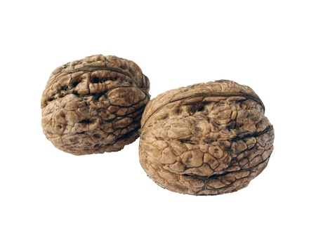 Two walnuts isolated on a white background. Without shadow.