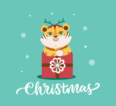 The Christmas card with tiger. The funny wild animal with presentのイラスト素材