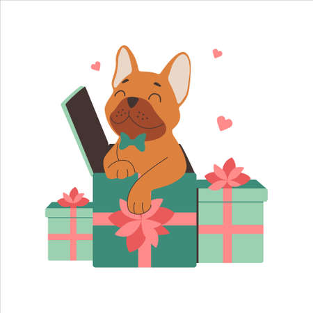 The puppy is a Bulldog with present box is good for poster, stickers, birthday party. The dog in love for holiday designs. The vector illustrationのイラスト素材
