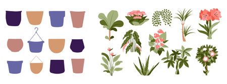 The set of house plants and pots. The boho design flowersのイラスト素材