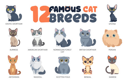 Set of Cute Cat Breeds in Fun Cartoon Style in a Vector Illustrationsのイラスト素材