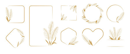 Dry pampas grass. Set of floral frames, and borders. Branches and wreaths in elegant boho elementsのイラスト素材