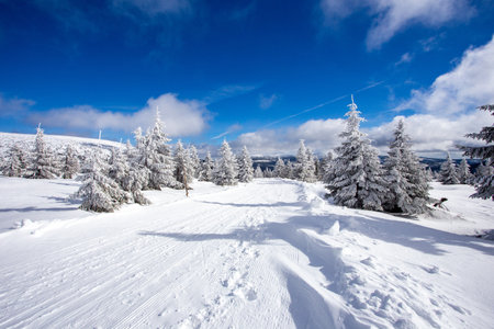 Winter in the mountains, Czech Republicの写真素材