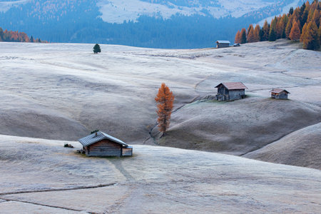Autumn alpine landscape in the Dolomites, Italy.の写真素材