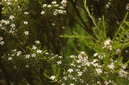 Deep in the south american Andes Mountainsの写真素材
