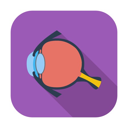 Anatomy eye. Single flat color icon. Vector illustration.のイラスト素材