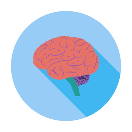 Brain のイラスト素材