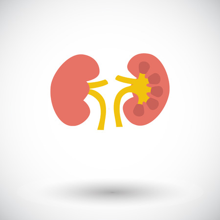 Human Kidney. Single flat icon on white background. Vector illustration.のイラスト素材