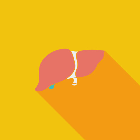 Liver icon. Flat vector related icon with long shadow for web and mobile applications. It can be used as  pictogram, icon, infographic element. Vector Illustration.のイラスト素材