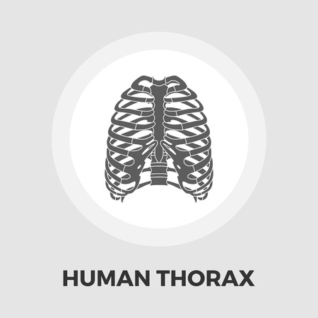 Human thorax icon vector. Flat icon isolated on the white background. Editable EPS file. Vector illustration.ground. Vector illustration.のイラスト素材