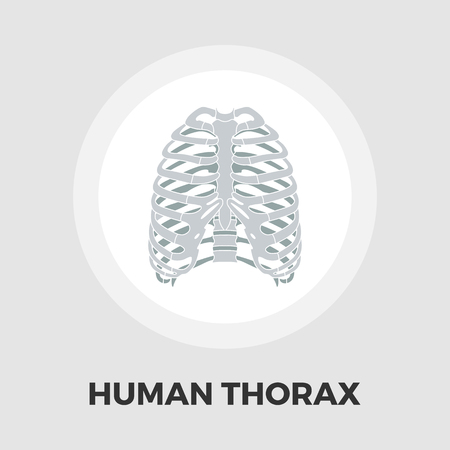 Human thorax icon vector. Flat icon isolated on the white background. Editable EPS file. Vector illustration.ground. Vector illustration.のイラスト素材