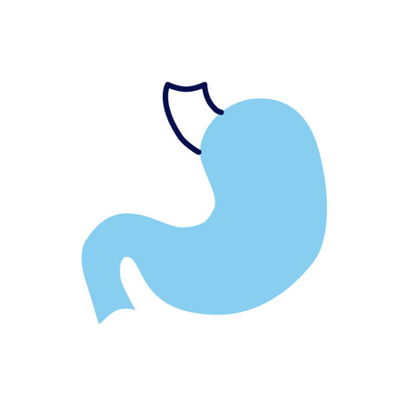 Stomach Vector Icon. Isolated on the White Background. Editable EPS file. Vector illustrationのイラスト素材