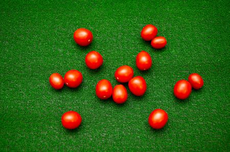 Tomatoes on green grass. Artificial grass and tomatoes. Tomato season.の写真素材