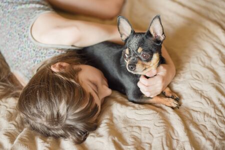 Very beautiful long-haired little girl with a dog Chihuahua.の写真素材